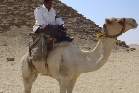 Cairo Highlights in a Day: Pyramids, Egyptian Museum & Bazaar