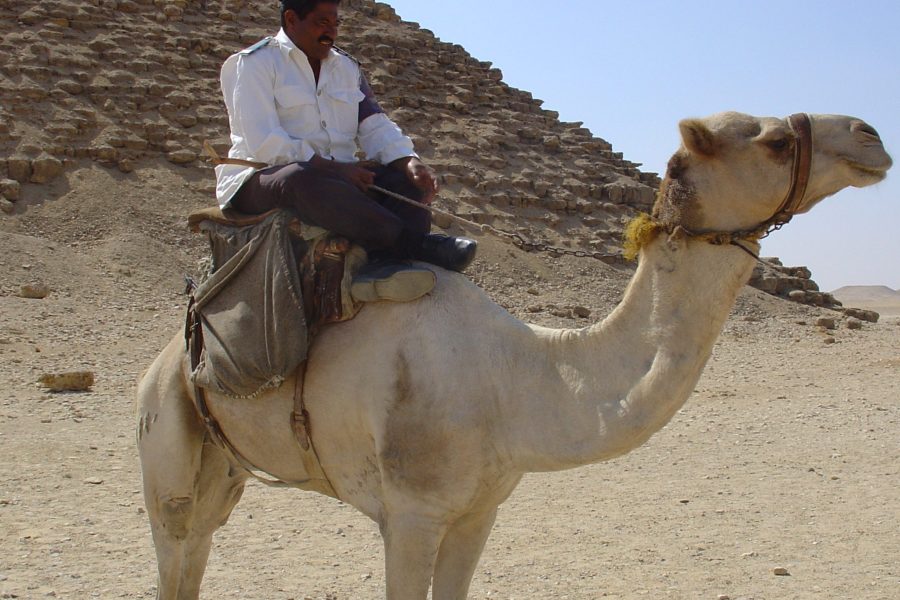 Cairo Highlights in a Day: Pyramids, Egyptian Museum & Bazaar